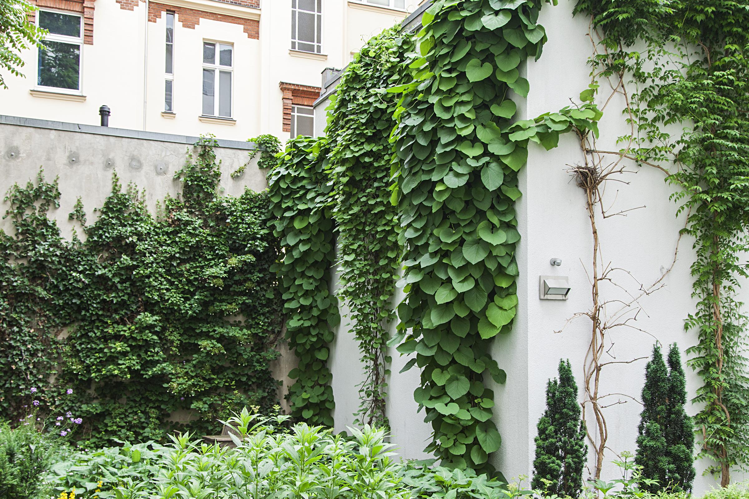 Quentin Design Hotel Berlim
